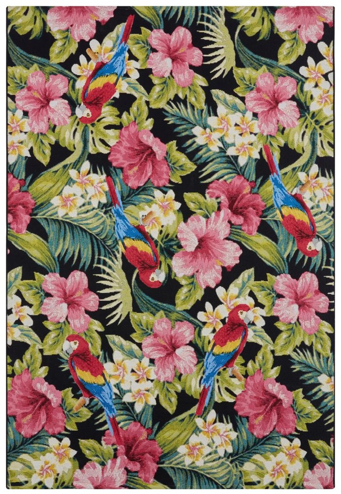 Dywan zewnętrzny Flair Tropical wielokolorowy 80 cm x 165 cm