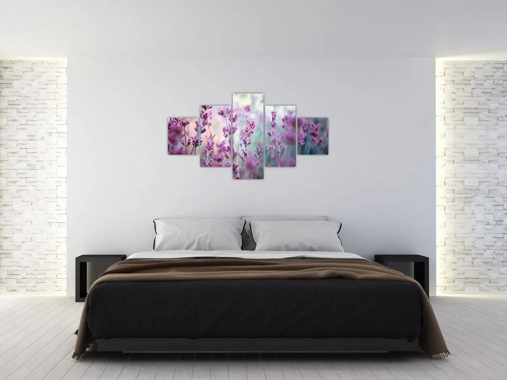 Obraz - Lawenda (125x70 cm)