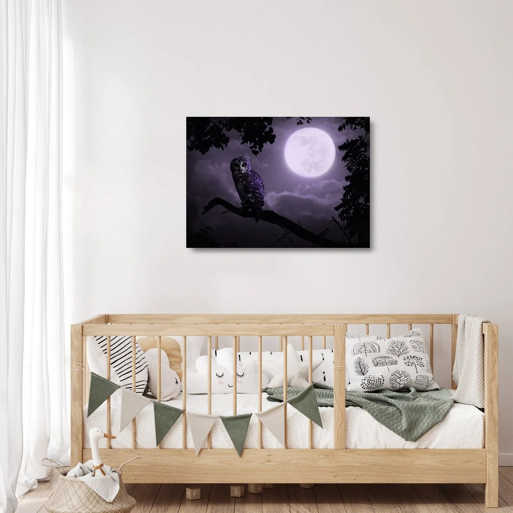 Obraz na szkle - Nocna sowa, fioletowy (70x50 cm)