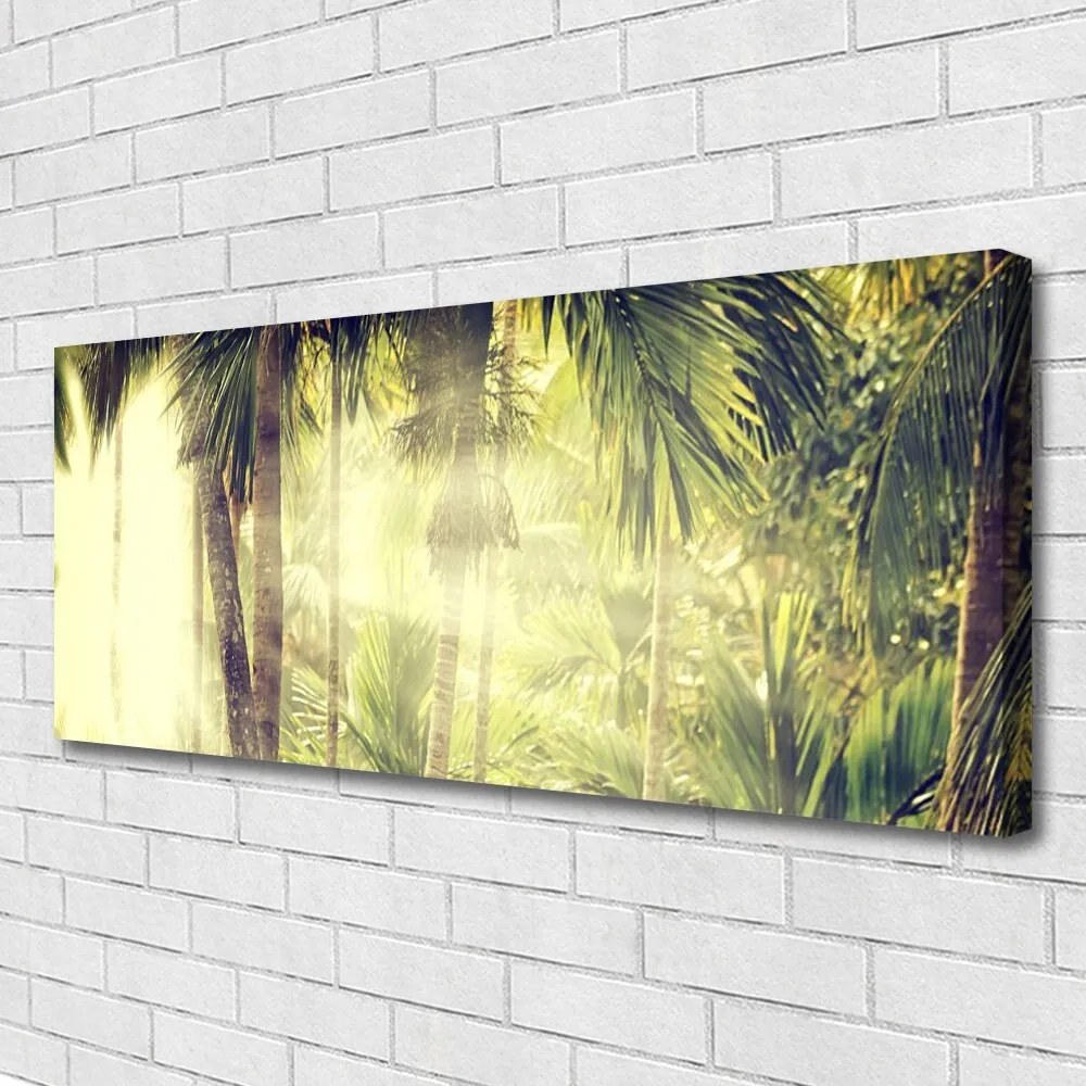 Obraz canvas Egzotyczna Gęstwina Tropików