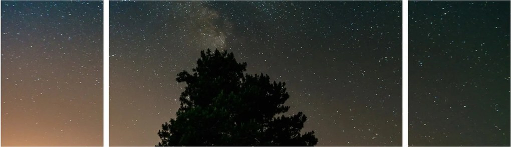 Obraz nocnego nieba z drzewami (170x50 cm)