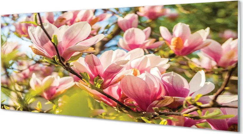 Szklany Panel Różowa Magnolia w Detalu
