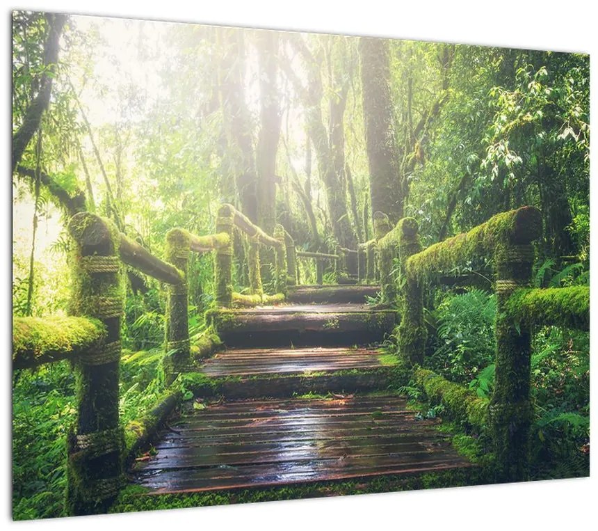 Obraz na szkle - drewniane schody w lesie (70x50 cm)