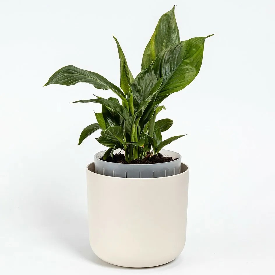 Plastia Doniczka samonawadniająca Tolita Air kremowy, śr. 19 cm, śred. 19 cm