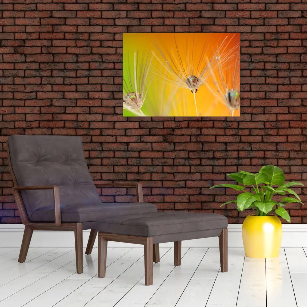 Obraz na szkle - krople na roślinie (70x50 cm)