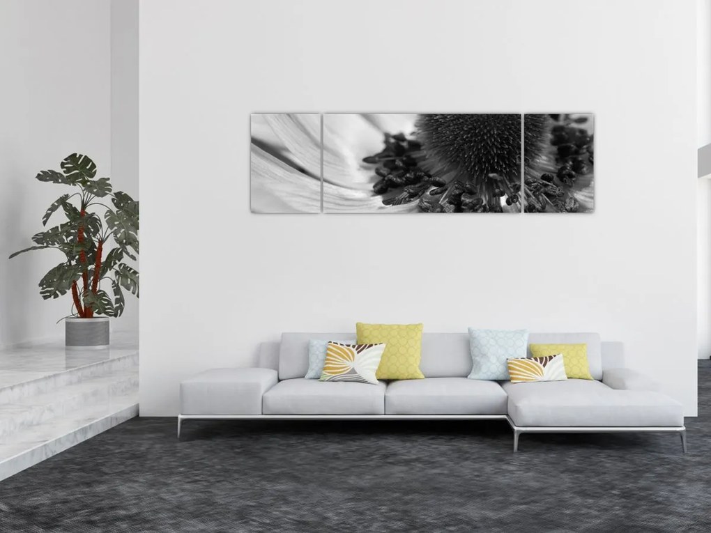 Obraz - Kwiat w czerni i bieli (170x50 cm)