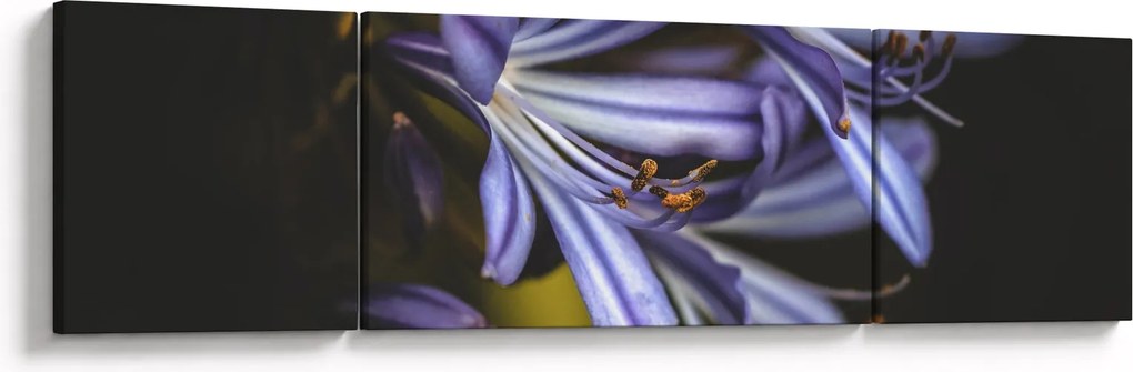 Obraz - Lilia (170x50 cm)