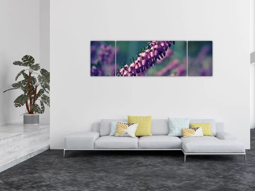 Obraz lawendy (170x50 cm)