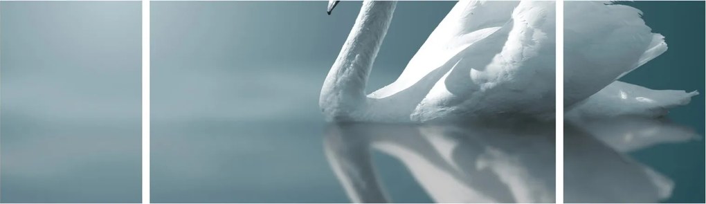 Obraz - Biały łabędź (170x50 cm)