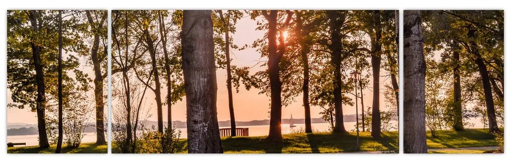 Obraz drzew nad jeziorem (170x50 cm)