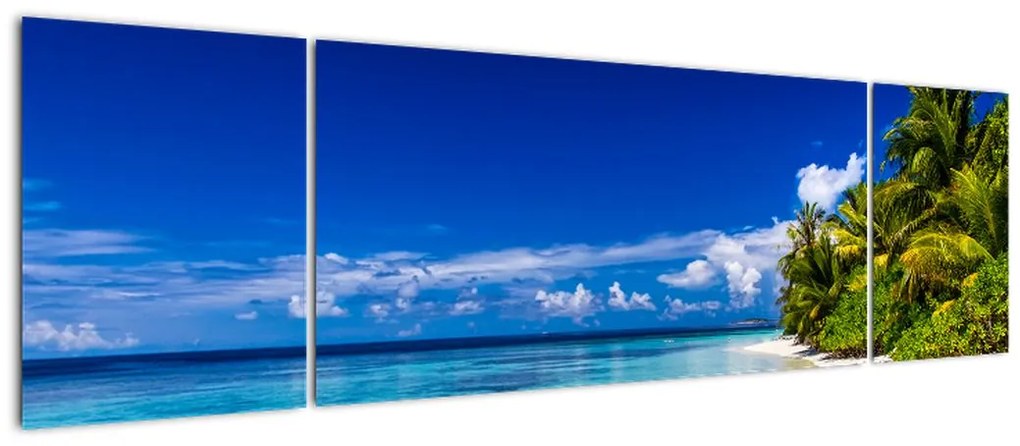 Obraz tropikalnej plaży (170x50 cm)