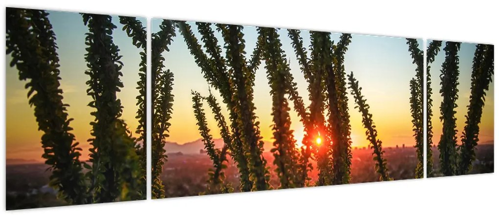 Obraz - Rośliny (170x50 cm)