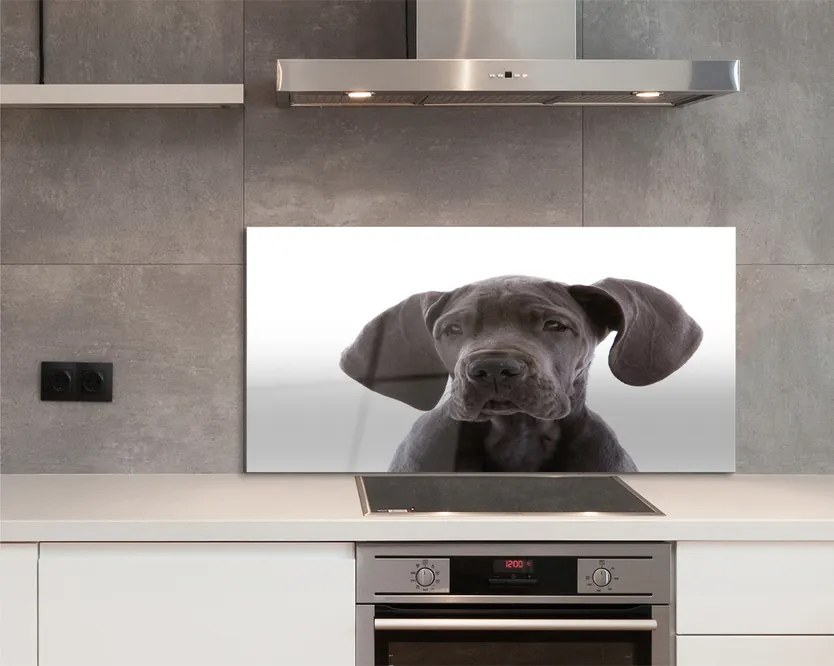 Panel szklany do Kuchni Portret Brązowego Psa