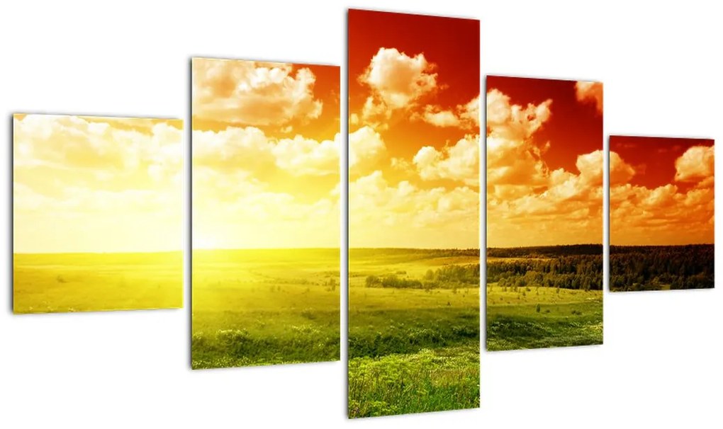 Obraz łąki ze świecącym słońcem (125x70 cm)
