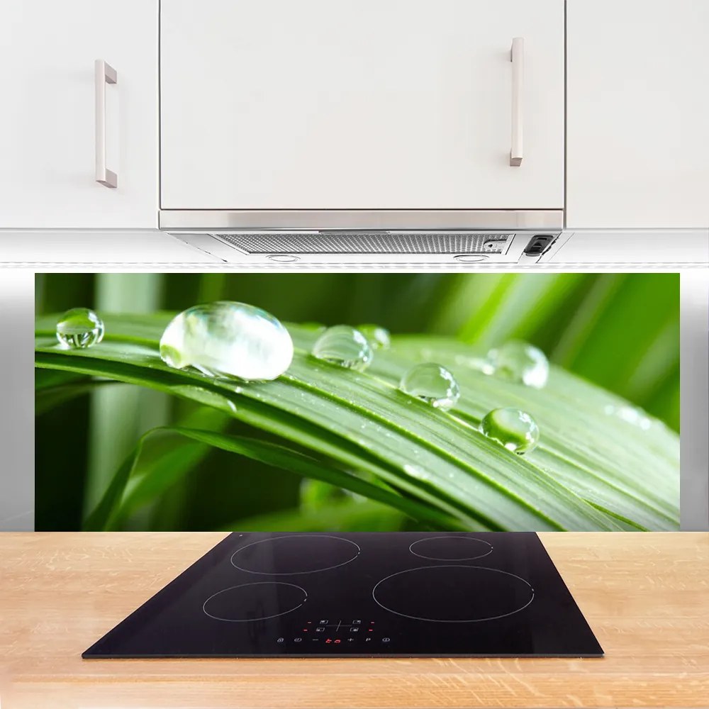 Szkło do Kuchni na Ścianę Kropla Rosy W Makrofotografii