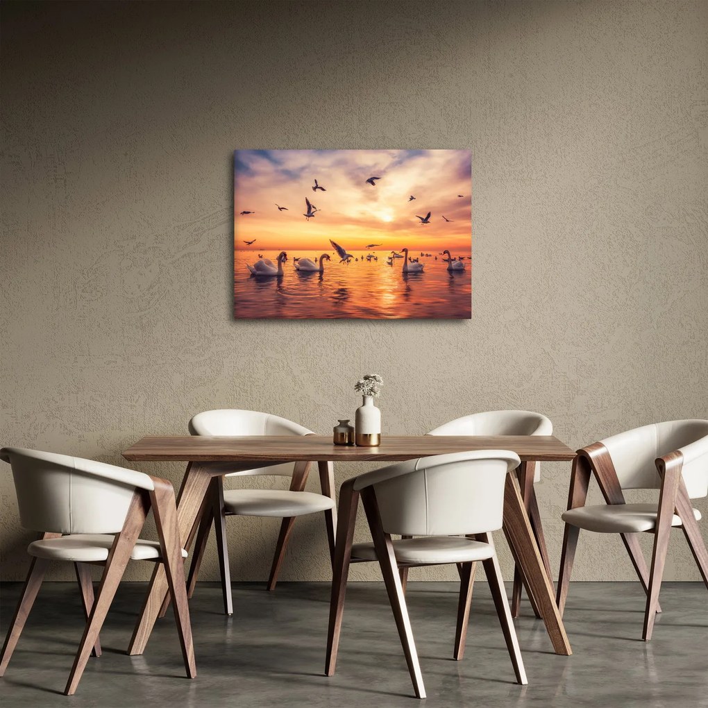 Obraz - Łabędzie (70x50 cm)