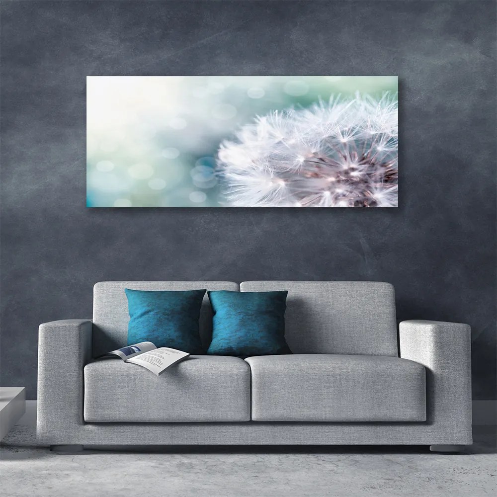 Obraz na płótnie Złocisty Mniszek na Wietrze