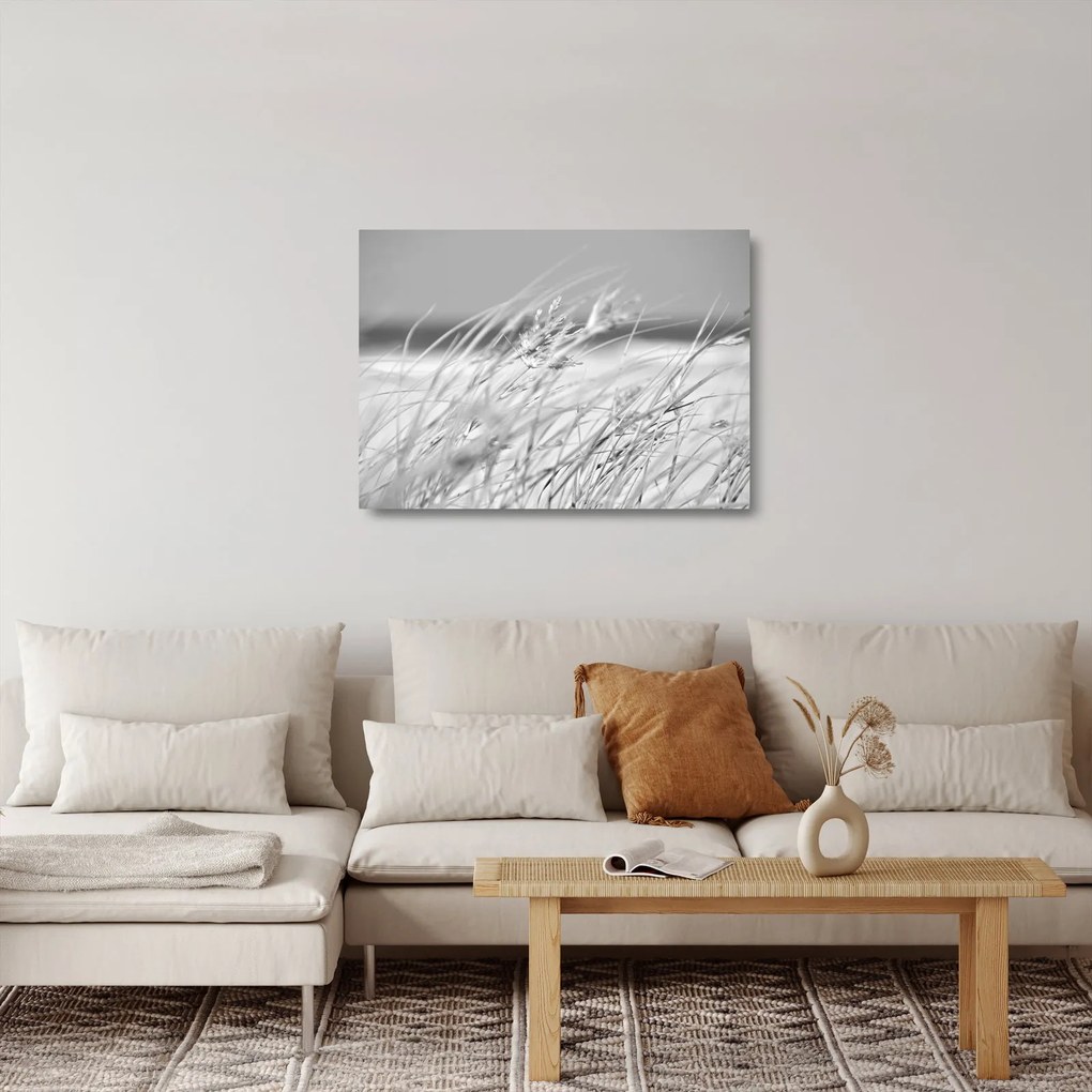 Obraz na szkle - Trawa plażowa (70x50 cm)