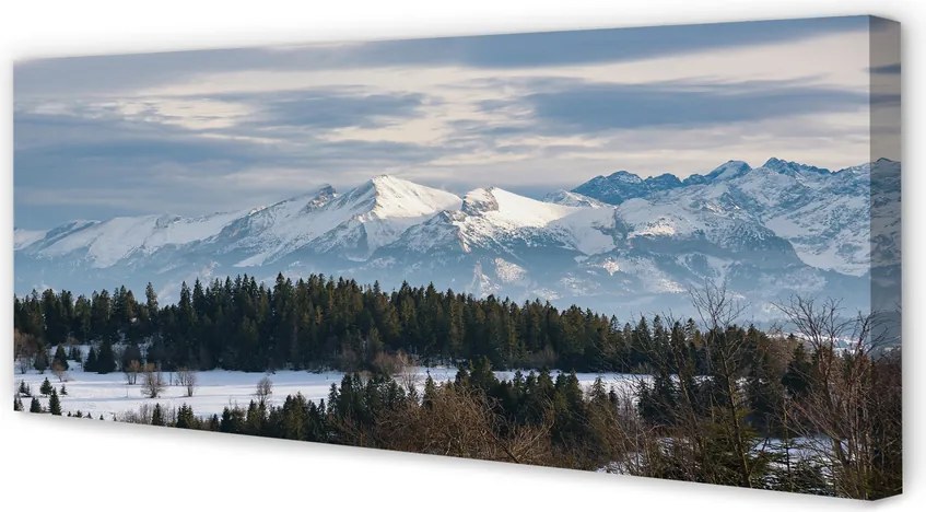 Zdjęcie na płótnie Góry Zimą w Śniegu