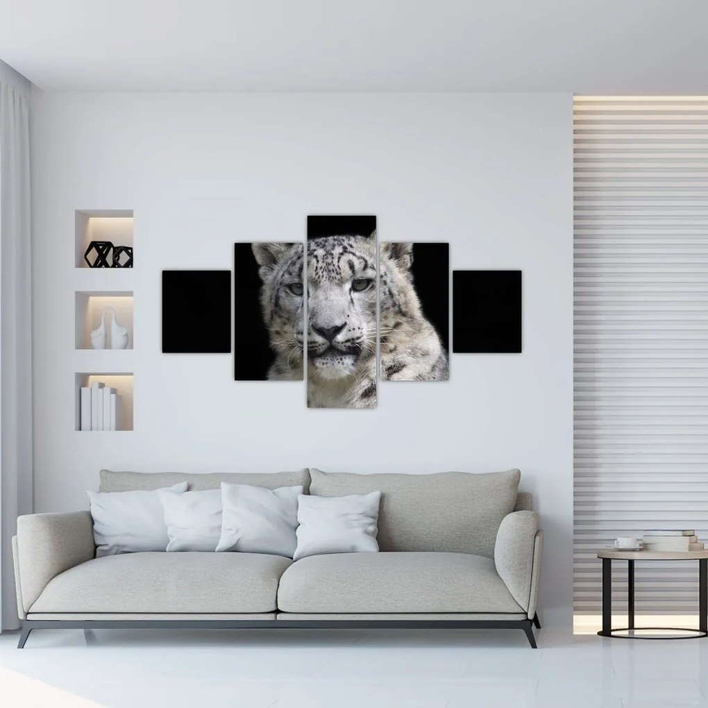 Obraz - Snow Leopard (125x70 cm)