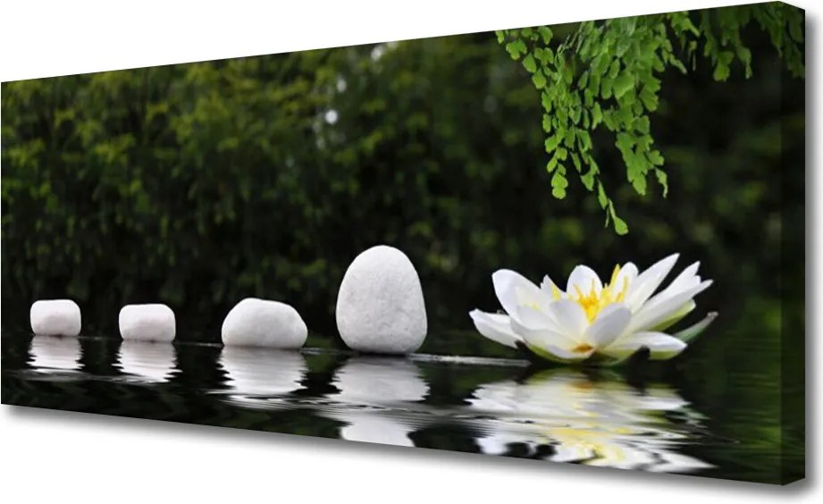 Zdjęcie na płótnie Lilia Wodna na Jeziorze