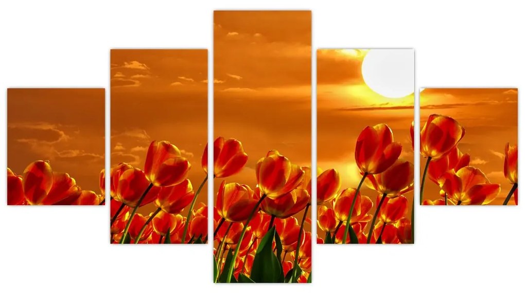 Obraz kwitnącego pola z tulipanami (125x70 cm)