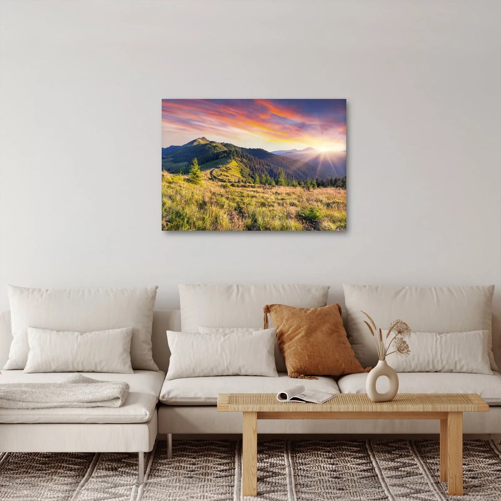 Obraz - Krajobraz leśny (70x50 cm)
