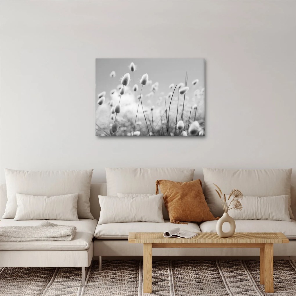 Obraz - Trawa z ogonkiem króliczka Boho (70x50 cm)