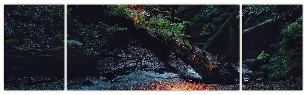 Obraz górskiej rzeki (170x50 cm)