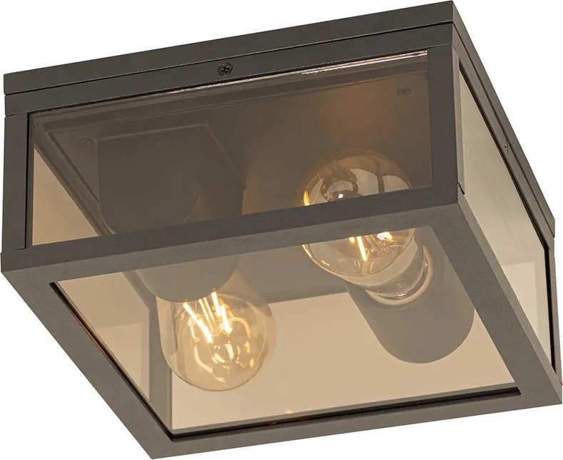 Plafon czarny z przydymionym szkłem 2-światła IP44 - Charlois