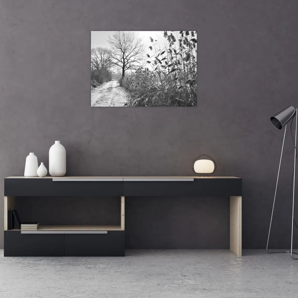 Obraz - Pola w zimie (70x50 cm)