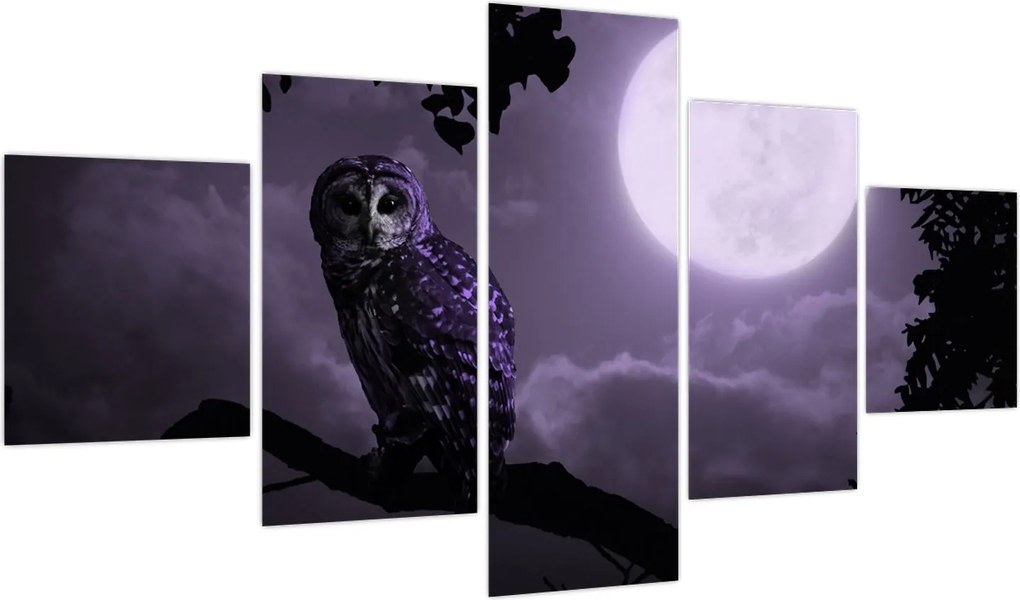 Obraz - Nocna sowa, fioletowy (125x70 cm)