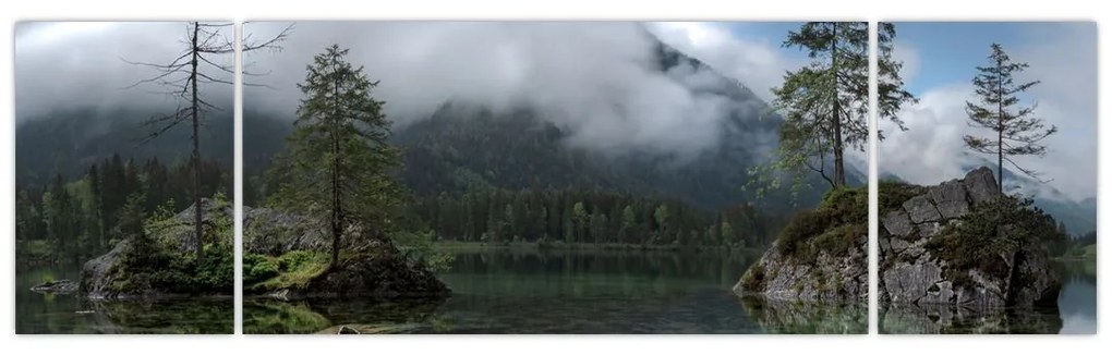Obraz drzew w jeziorze (170x50 cm)