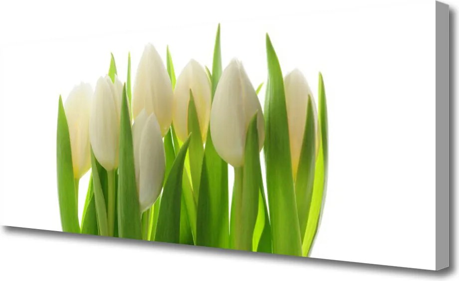 Fotoobraz na płótnie Polana Kolorowych Tulipanów