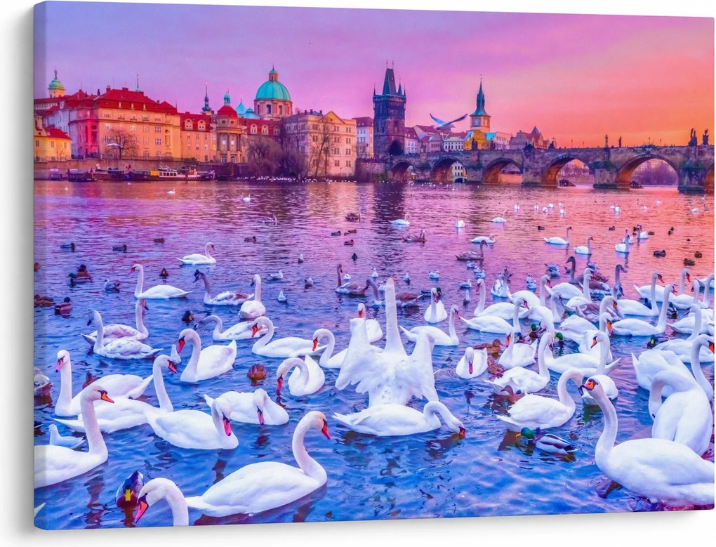 Obraz - Praga (70x50 cm)