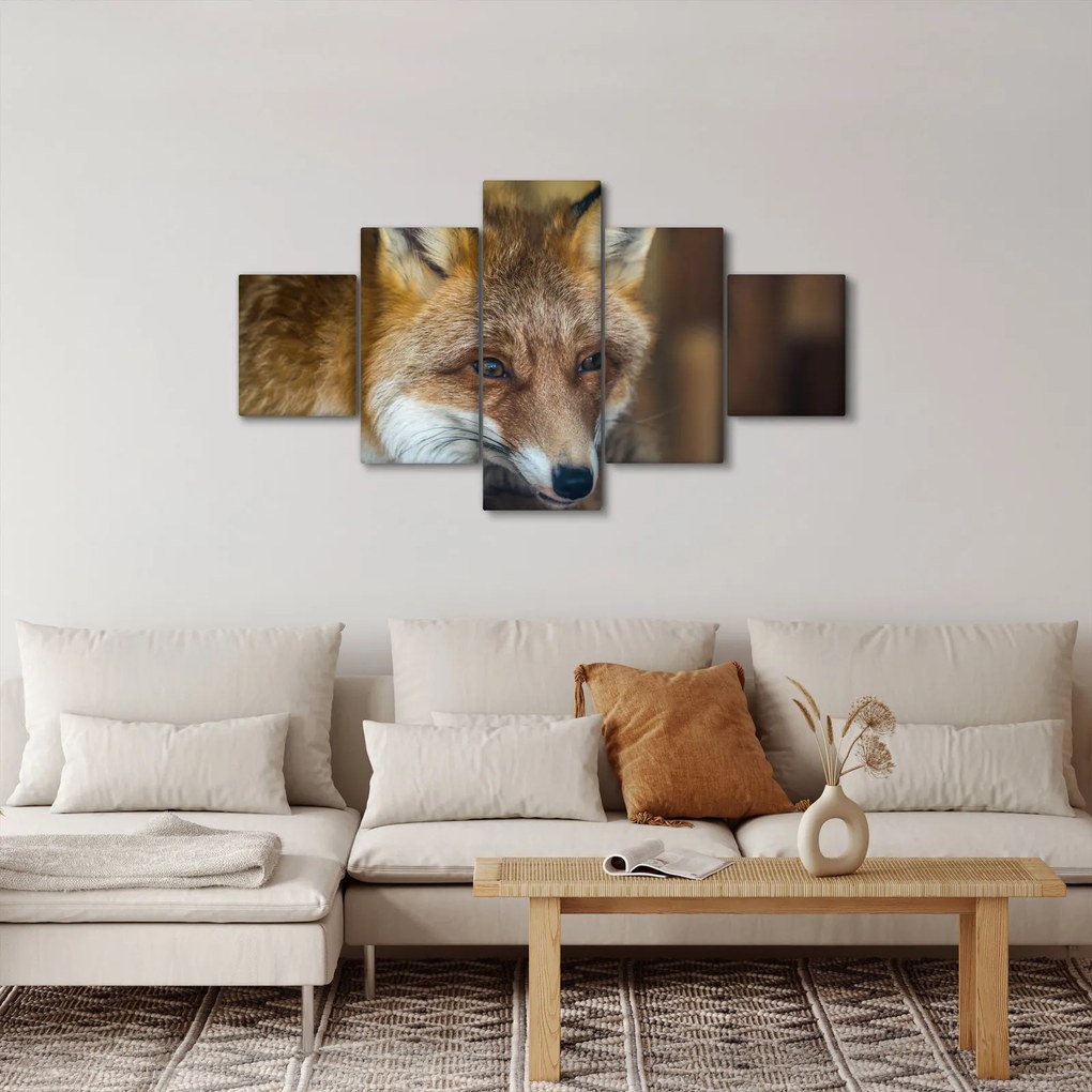 Obraz lisa (125x70 cm)