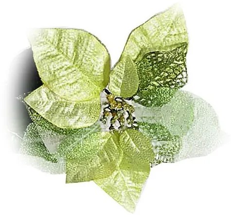 Bożonarodzeniowa róża złoty, 20 cm x 65 cm