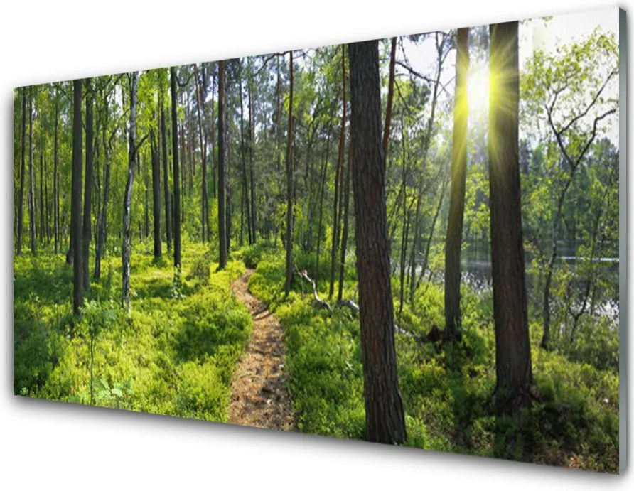 Panel Szklany Droga przez Dziki Las