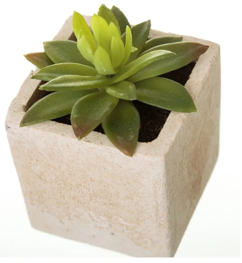 Sztuczne rośliny zestaw 6 szt. (wysokość 9,5 cm) Cactus – Casa Selección