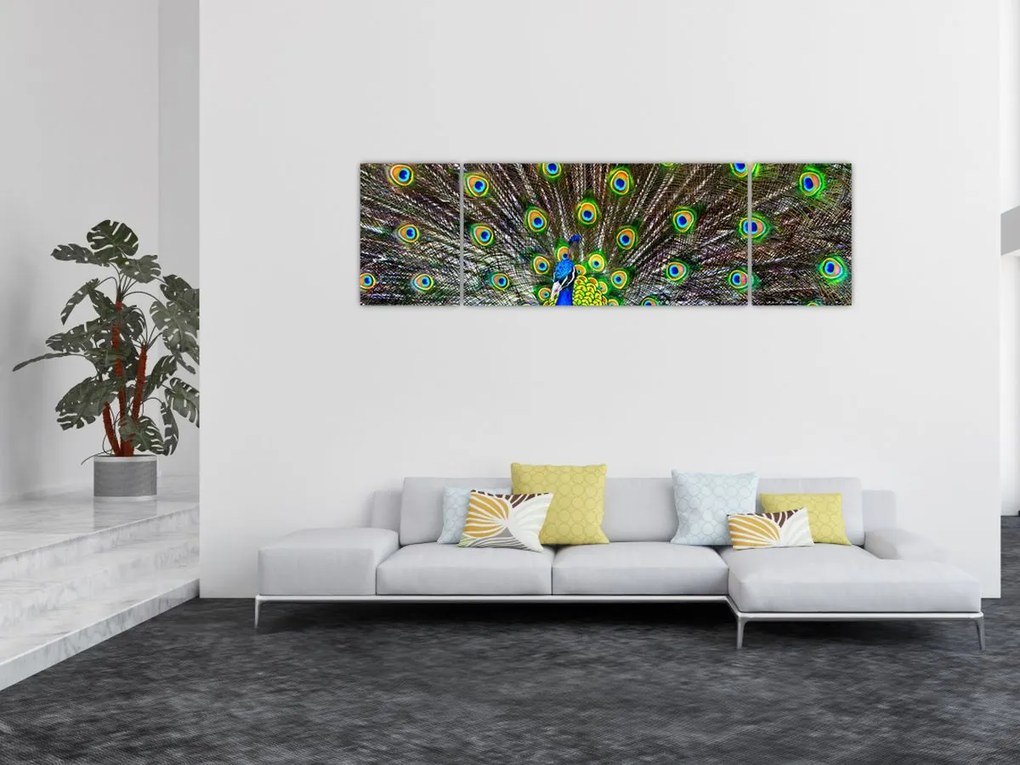 Obraz - Paw (170x50 cm)