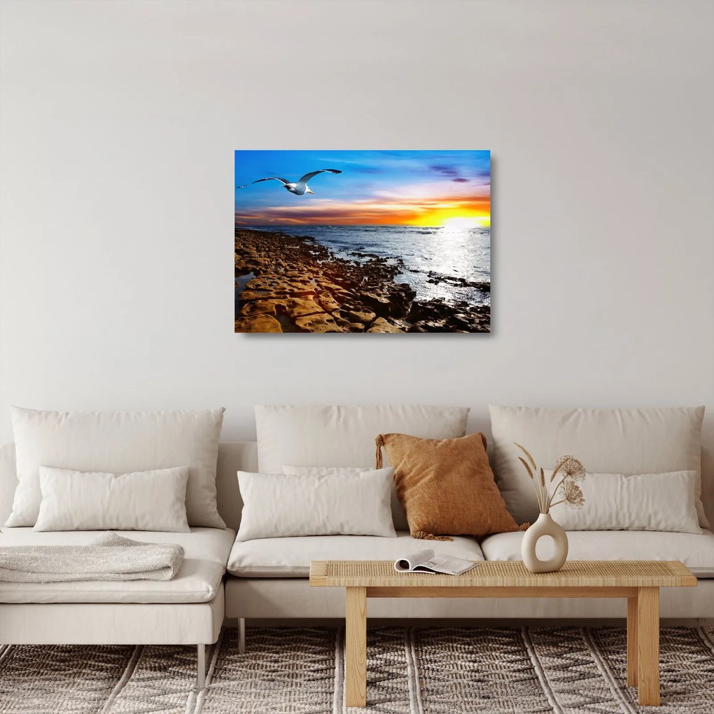 Obraz na szkle - Mewa lecąca nad wybrzeżem (70x50 cm)
