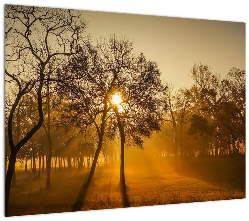 Obraz na szkle - Wschód słońca (70x50 cm)