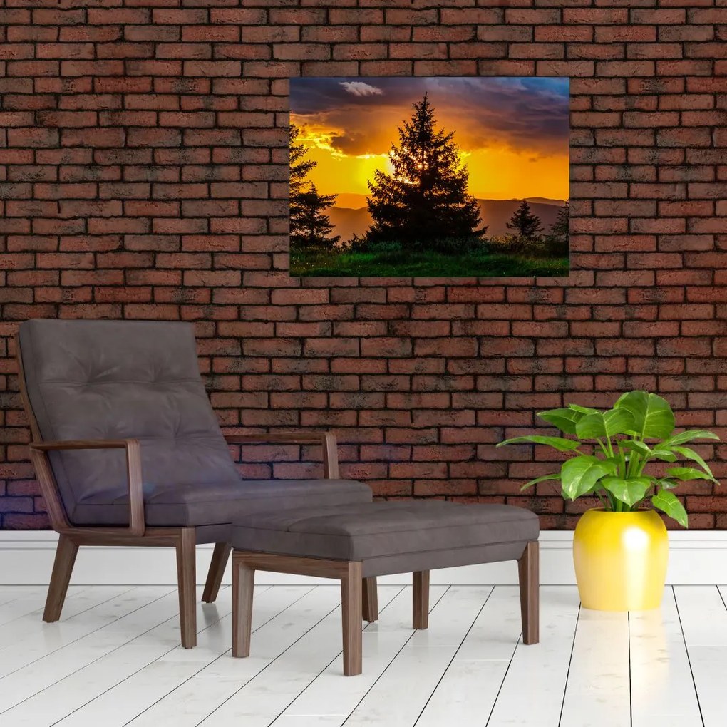 Obraz - drzewa iglaste (70x50 cm)