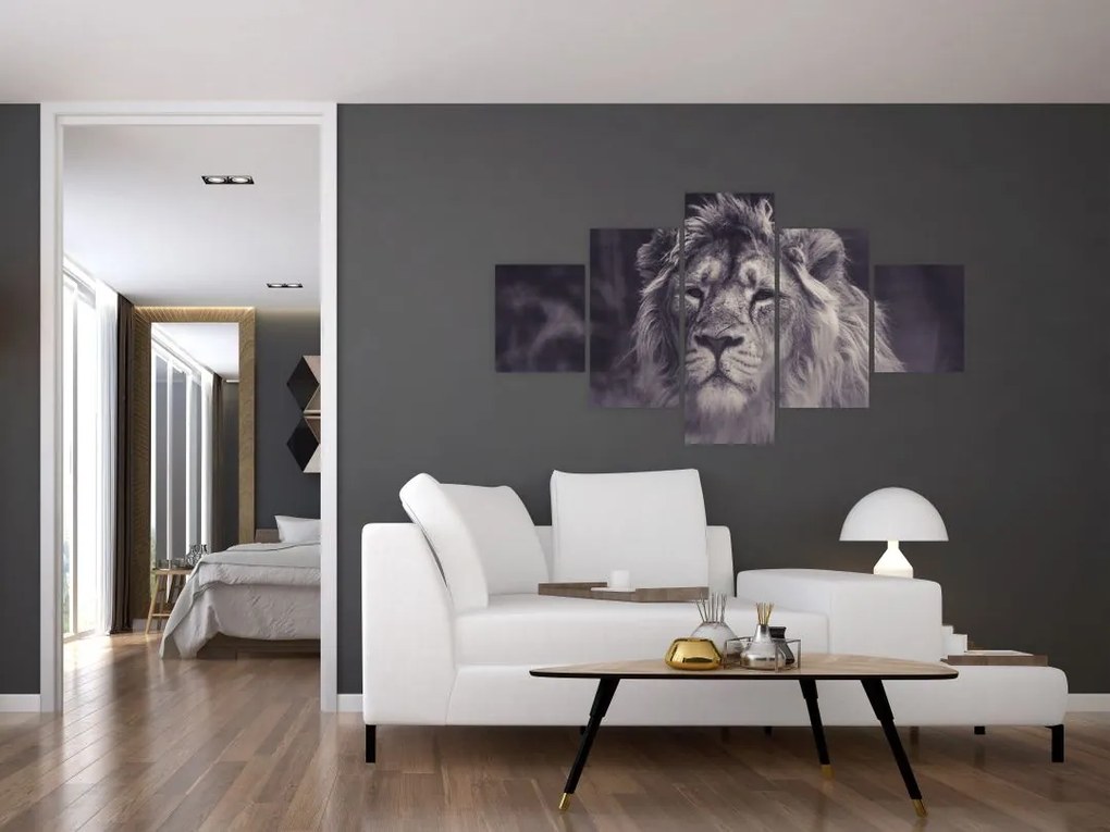 Obraz lwa (125x70 cm)