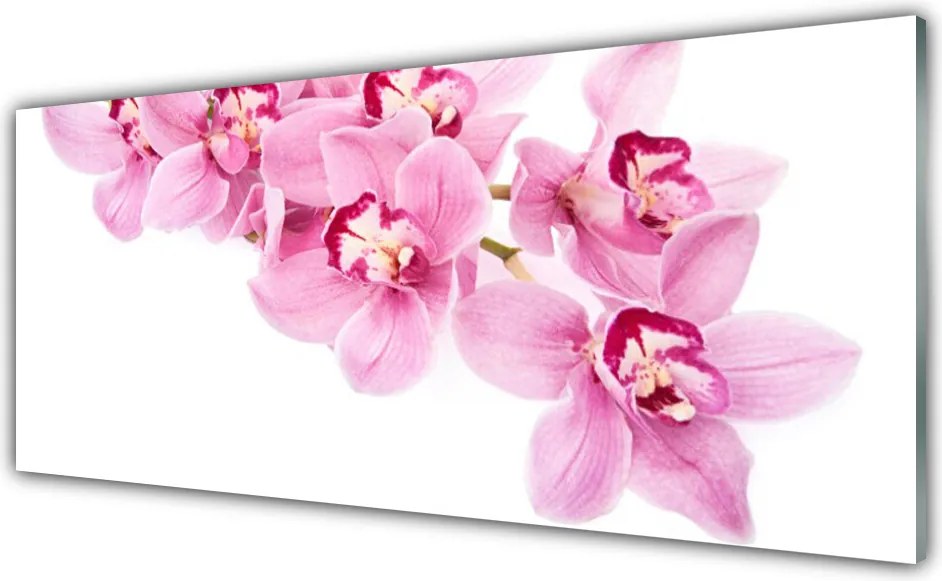 Szkło do Kuchni na Ścianę Pełnia Kwiatowej Natury