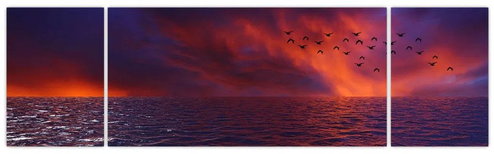 Obraz morza z ptakami (170x50 cm)