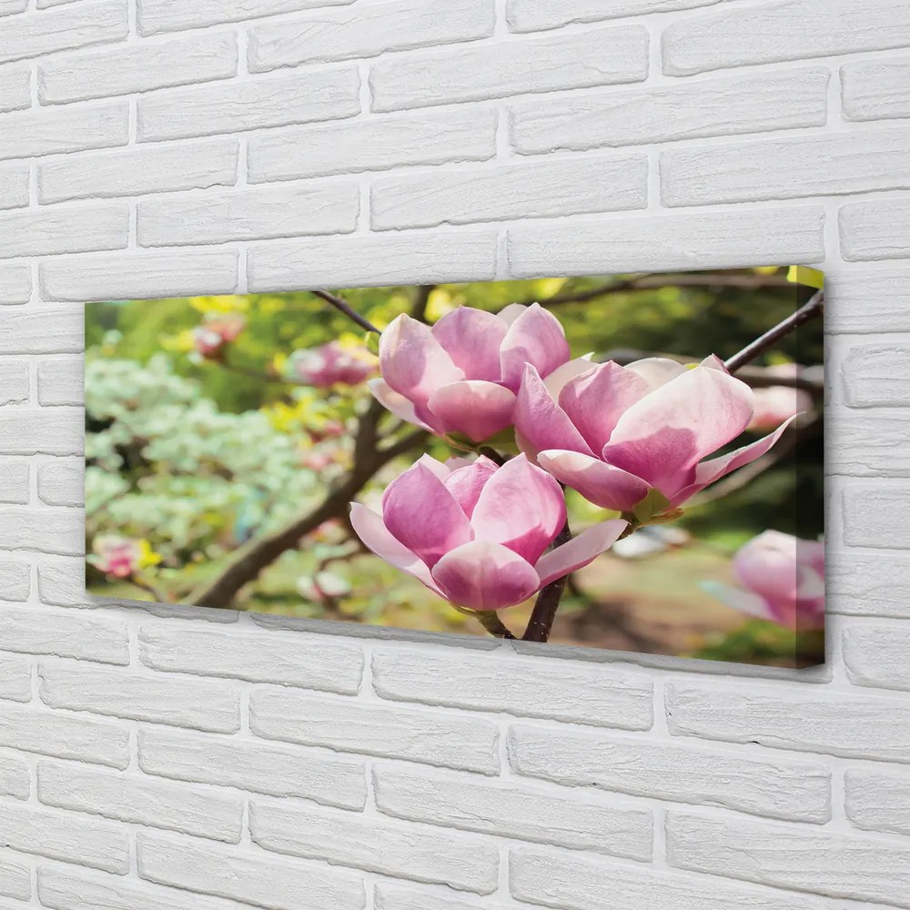 Obraz canvas na ścianę Drzewa Magnolii