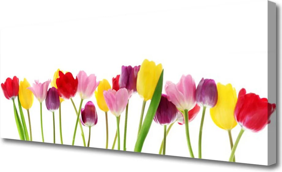 Obraz na płótnie Wiosenna Kompozycja Tulipanów