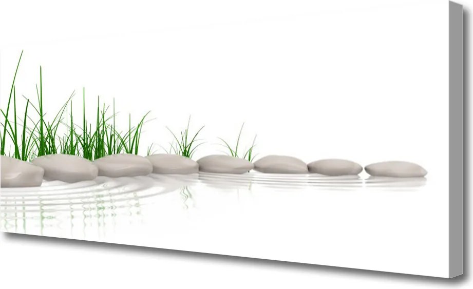 Fotoobraz na płótnie Kamienie w Zielonej Trawie