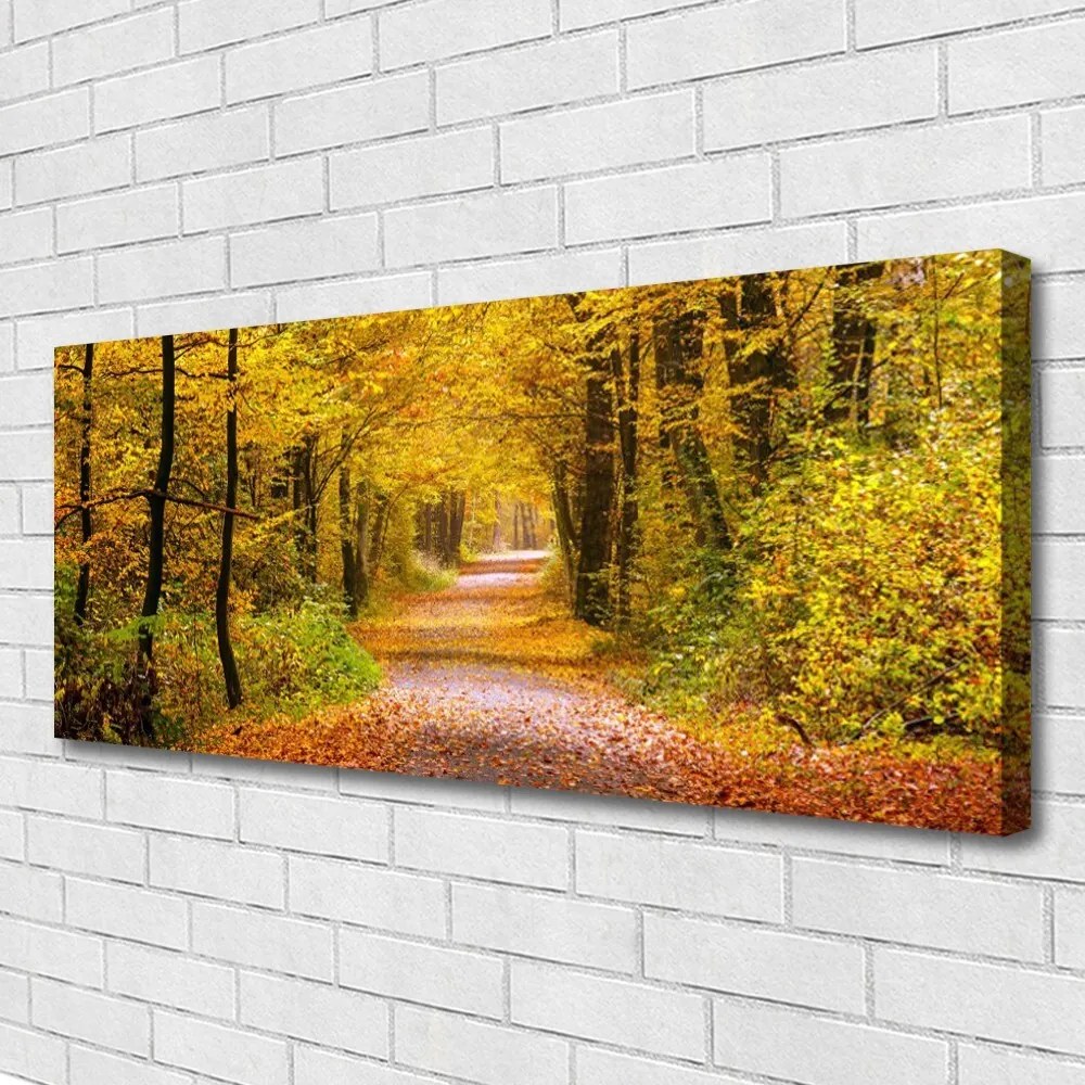 Obraz canvas Spacer przez Słoneczny Las